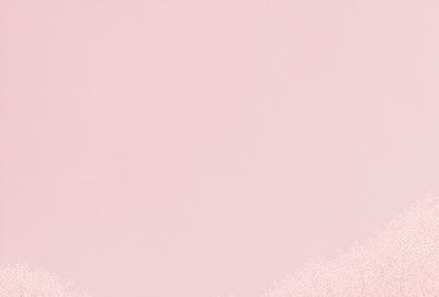 The primary subject of the image is a pink wall. The setting is a room with a pink background. The visual style is a close-up of the pink wall. The colors and mood are predominantly pink, creating a warm and inviting atmosphere.