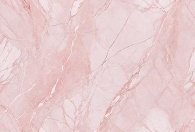 The primary subject of the image is a marble wall with a pinkish hue. The setting is a room with a pink marble wall, and the visual style is a close-up of the wall. The colors and mood of the image are predominantly pink, creating a warm and inviting atmosphere.