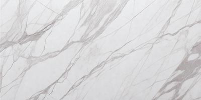 The primary subject of the image is a marble wall with a patterned texture. The setting is a white wall, and the visual style is a close-up of the marble wall. The colors and mood of the image are predominantly white, giving it a clean and elegant appearance.