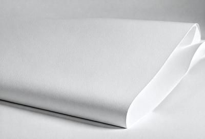 The primary subject of the image is a white sheet of paper. The setting is a white background, which creates a clean and minimalist appearance. The visual style is a photo, capturing the paper's texture and details. The colors are predominantly white, giving the image a calm and serene atmosphere.