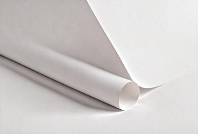 The primary subject of the image is a roll of paper, which is the main object in the scene. The paper is white and appears to be a large sheet of paper. The setting is a white background, which provides a clean and uncluttered environment for the paper roll. The visual style of the image is a close-up of the paper roll, showcasing its texture and details. The colors in the image are predominantly white, giving the scene a clean and minimalist appearance.