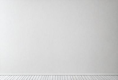 The primary subject of the image is a white wall with a white background. The visual style is a photo, and the colors and mood are predominantly white, creating a clean and minimalist atmosphere.