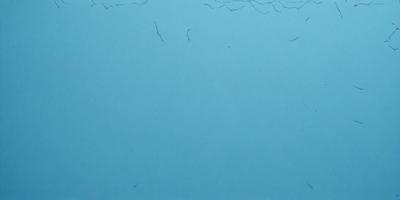 The primary subject of the image is a blue background with white string or yarn on it. The setting appears to be a creative or artistic environment, possibly a crafting or sewing workspace. The visual style of the image is a close-up of the blue background with the white string, giving a sense of texture and detail. The colors and mood of the image are predominantly blue and white, creating a calm and serene atmosphere.