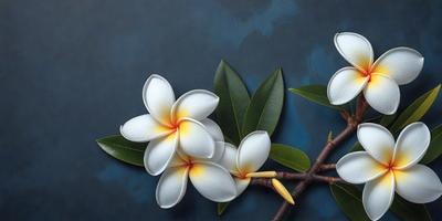The primary subject of the image is a close-up of a flower, possibly a white orchid, with a green leaf. The setting is a blue background, which adds a sense of depth and contrast to the image. The visual style appears to be a combination of photo and digital art, creating a realistic yet artistic representation of the flower. The colors are predominantly white and green, with the blue background providing a calming and serene atmosphere.