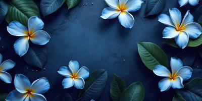 The primary subject of the image is a close-up of a blue flower, possibly a hibiscus, with green leaves surrounding it. The setting is a dark blue background, which creates a dramatic and moody atmosphere. The visual style appears to be a photo, as the flower and leaves are captured in detail. The dominant colors are blue and green, with the blue flower being the focal point of the image.