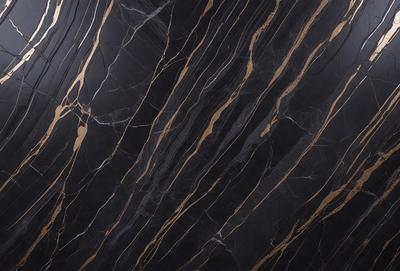 The primary subject of the image is a marble countertop with a black and gold striped pattern. The setting is a kitchen, and the visual style is a close-up of the countertop. The colors and mood of the image are predominantly black and gold, creating a luxurious and elegant atmosphere.