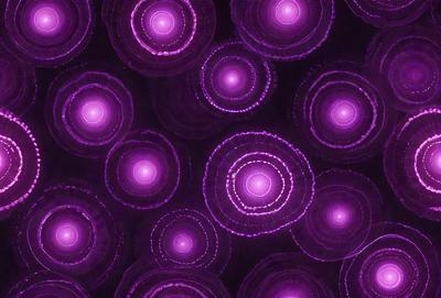 The image features a purple background with a pattern of circles. The circles are of varying sizes and are arranged in a visually appealing manner. The primary subject of the image is the purple background with the circles, creating a unique and eye-catching visual style. The colors and mood of the image are predominantly purple, giving it a calm and soothing atmosphere.