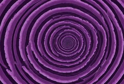 The primary subject of the image is a purple spiral, which appears to be a digital art or illustration. The spiral is set against a purple background, creating a visually striking and unique visual style. The colors and mood of the image are predominantly purple, giving it a calm and serene atmosphere.