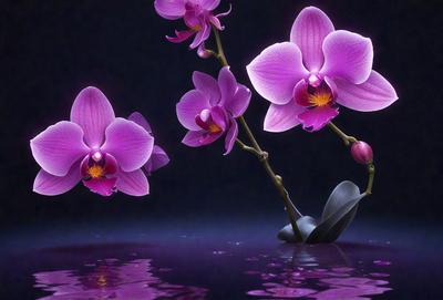The primary subject of the image is a bouquet of purple orchids. The orchids are arranged in a vase, and they are placed on a purple surface. The setting appears to be a dark room, which adds a dramatic and moody atmosphere to the scene. The visual style of the image is a combination of photo and digital art, creating a realistic yet artistic representation of the orchids.