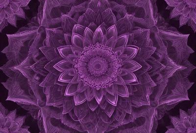 The primary subject of the image is a large, purple flower with a circular center. The flower is the main focus of the image, and it is set against a purple background. The visual style of the image is a close-up of the flower, which gives it a detailed and intricate appearance. The dominant colors in the image are purple and pink, creating a calm and serene atmosphere.