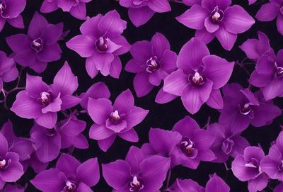 Purple flowers, purple flowers, purple flowers, purple flowers, purple flowers, purple flowers, purple flowers, purple flowers, purple flowers, purple flowers, purple flowers, purple flowers, purple flowers, purple flowers, purple flowers, purple flowers, purple flowers, purple flowers, purple flowers, purple flowers, purple flowers, purple flowers, purple flowers, purple flowers, purple flowers, purple flowers, purple flowers, purple