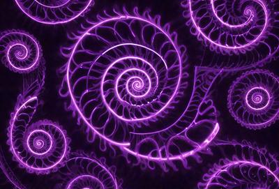 The primary subject of the image is a purple spiral pattern, which is the main object, scene, or focus of the image. The setting or background of the image is a purple surface, which adds to the overall atmosphere. The visual style of the image is a combination of photo and digital art, creating a unique and eye-catching pattern. The colors and mood of the image are predominantly purple, giving it a calming and serene appearance.