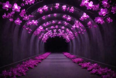 The primary subject of the image is a tunnel with purple flowers hanging from the ceiling. The tunnel is dark, creating a moody atmosphere. The setting is an underground passage, and the visual style is a photo. The dominant colors are purple and black, giving the scene a dramatic and mysterious feel.