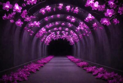 The primary subject of the image is a tunnel with purple flowers hanging from the ceiling. The tunnel is dark, creating a moody atmosphere. The setting is an underground passage, and the visual style is a photo. The dominant colors are purple and black, giving the scene a dramatic and mysterious feel.