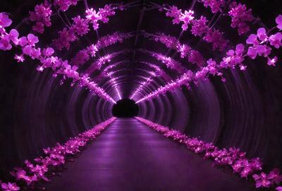 The primary subject of the image is a purple tunnel with a row of pink flowers lining the path. The tunnel appears to be a part of a larger structure, possibly a building or an art installation. The setting is a dark, enclosed space, and the visual style is a combination of a photo and digital art. The dominant colors are purple and pink, creating a calming and serene atmosphere.