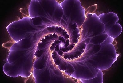 The primary subject of the image is a purple flower with a spiral pattern. The setting is a dark background, which emphasizes the flower's vibrant color. The visual style is a close-up of the flower, showcasing its intricate details. The colors and mood of the image are predominantly purple, creating a serene and calming atmosphere.