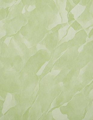 The primary subject of the image is a green wallpaper with a pattern of leaves. The setting is a room with a green wall, and the visual style is a close-up of the wallpaper. The colors and mood of the image are predominantly green, creating a calm and natural atmosphere.