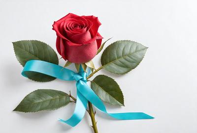 The primary subject of the image is a single red rose with a blue ribbon. The rose is placed on a white surface, which serves as the background. The visual style of the image is a close-up of the rose, emphasizing its details and colors. The dominant colors in the image are red and blue, creating a sense of elegance and romance.