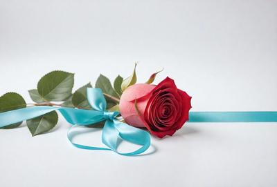 The primary subject of the image is a single pink rose with a blue ribbon. The rose is placed on a white background, which creates a clean and minimalist appearance. The visual style of the image is a close-up of the rose, emphasizing its beauty and the details of the ribbon. The colors of the rose and ribbon are predominantly pink and blue, creating a warm and calming atmosphere.