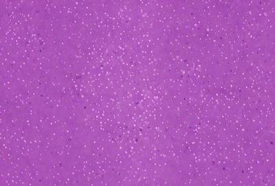 The primary subject of the image is a purple background with a pattern of white dots. The setting appears to be a space or a celestial background, as the dots are scattered throughout the purple surface. The visual style of the image is a combination of digital art and illustration, creating a unique and intriguing pattern. The colors and mood of the image are predominantly purple and dark, with the white dots adding a touch of brightness and contrast.
