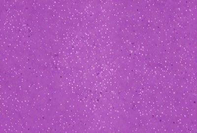 The primary subject of the image is a purple background with a pattern of white dots. The setting appears to be a digital art or illustration, as the dots are arranged in a visually appealing manner. The visual style is a combination of a purple background and white dots, creating a unique and eye-catching pattern. The colors and mood of the image are predominantly purple and white, giving it a calm and soothing atmosphere.