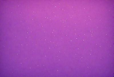The image features a purple background with a pattern of white dots. The dots are scattered throughout the purple surface, creating a visually interesting and unique pattern. The combination of purple and white dots gives the scene a distinct and artistic appearance.