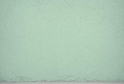 The primary subject of the image is a close-up of a wall with a green background. The setting is a room with a green wall, and the visual style is a photo. The dominant colors are green, and the overall atmosphere is calm and serene.