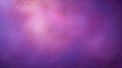 The primary subject of the image is a purple background with a few white specks. The setting appears to be a space or an abstract environment. The visual style is a combination of a photo and digital art, creating a unique and intriguing atmosphere. The dominant colors are purple and white, with the purple background providing a sense of depth and the white specks adding an interesting texture to the scene.