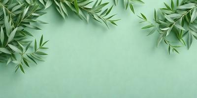 The primary subject of the image is a green wall with a leafy plant on it. The setting is indoors, with the plant placed on the wall. The visual style is a photo, capturing the natural beauty of the plant. The colors and mood of the image are predominantly green, creating a calm and serene atmosphere.