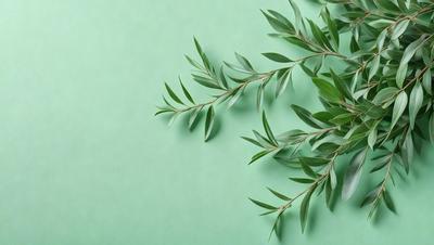 The primary subject of the image is a green leafy plant, possibly a tree branch, with leaves and branches. The setting is a green wall, which serves as the background. The visual style is a close-up of the plant, showcasing its details. The colors and mood of the image are predominantly green, creating a natural and serene atmosphere.