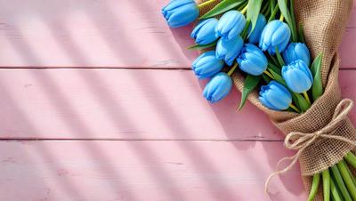 The primary subject of the image is a bouquet of blue tulips. The setting is a pink table, and the visual style is a photo. The dominant colors are pink and blue, creating a warm and vibrant atmosphere.