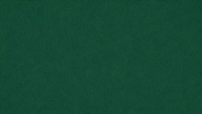 The primary subject of the image is a green cloth, which is the main object, scene, or focus of the image. The setting or background is a green cloth, and the visual style is a photo. The dominant colors and overall atmosphere are green, suggesting a calm and natural environment.