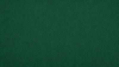 The primary subject of the image is a green cloth, which is the main object, scene, or focus of the image. The setting or background is a green cloth, and the visual style is a photo. The dominant colors and overall atmosphere are green, suggesting a calm and natural environment.
