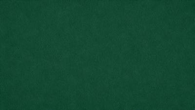 The primary subject of the image is a green cloth, which is the main object, scene, or focus of the image. The setting or background is a green cloth, and the visual style is a photo. The dominant colors and overall atmosphere are green, suggesting a calm and natural environment.
