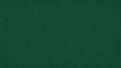 The primary subject of the image is a green cloth, which serves as the background. The setting is a dark room, and the visual style is a close-up of the green cloth. The colors and mood of the image are predominantly green, creating a calm and serene atmosphere.