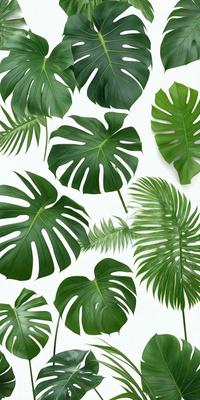 The image features a large group of green leaves, possibly from a palm tree, arranged in a pattern. The leaves are placed on a white background, creating a visually striking contrast. The leaves are arranged in various shapes and sizes, creating a sense of depth and complexity in the scene. The overall atmosphere of the image is lush and vibrant, with the green leaves serving as the primary subject.