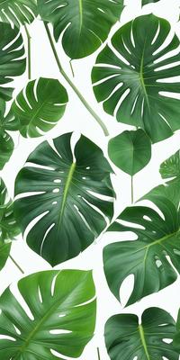 The image features a large green leaf with a white background. The leaf is prominently displayed in the foreground, with several smaller leaves surrounding it. The overall atmosphere of the image is serene and natural, with the green leaf being the focal point.