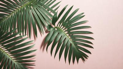 The image features a close-up of a large green palm leaf, with a pink background. The leaf is prominently displayed, covering a significant portion of the image. The visual style appears to be a photo, capturing the natural beauty of the palm leaf. The colors and mood of the image are predominantly green and pink, creating a serene and tropical atmosphere.