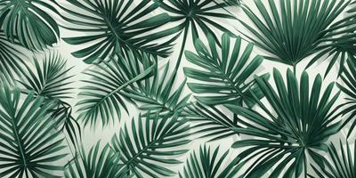 The image features a large, lush green palm tree with long, curved leaves. The tree is prominently displayed in the foreground, covering a significant portion of the image. The background is a white wall, which provides a clean and minimalistic backdrop for the palm tree. The visual style of the image is a close-up of the palm tree, emphasizing its details and texture. The colors and mood of the image are predominantly green, creating a serene and natural atmosphere.
