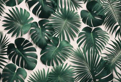 The image features a large collection of green leaves, possibly from a palm tree, arranged in a pattern. The leaves are displayed on a white background, creating a visually striking contrast. The leaves are arranged in various shapes and sizes, creating a sense of depth and complexity in the scene. The overall atmosphere of the image is lush and vibrant, with the green leaves serving as the primary subject.