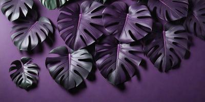 The image features a purple background with a large number of purple leaves arranged in various positions. The leaves are large and have a distinctive purple hue, creating a visually striking scene. The overall atmosphere of the image is vibrant and eye-catching, with the purple leaves being the primary subject.