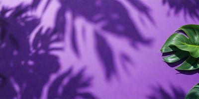 The primary subject of the image is a purple background with a leaf pattern. The setting is a purple wall, and the visual style is a patterned background. The colors and mood of the image are predominantly purple, creating a calm and soothing atmosphere.