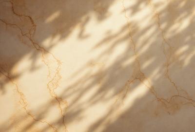 The primary subject of the image is a wall with a marble texture. The setting is a room with a tree outside, casting a shadow on the wall. The visual style is a photo, capturing the natural light and shadows on the marble surface. The colors and mood of the image are warm and inviting, with the marble texture adding a sense of sophistication and elegance to the scene.