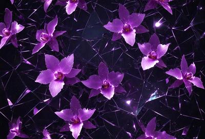 The primary subject of the image is a close-up of purple flowers, which are the main objects in the scene. The setting is a dark background, which contrasts with the vibrant purple flowers. The visual style is a pattern of purple flowers, creating a visually appealing and artistic composition. The colors and mood of the image are predominantly purple, giving it a serene and calming atmosphere.