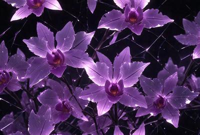 The primary subject of the image is a group of purple flowers with long stems. The flowers are arranged in a pattern, creating a visually appealing scene. The setting is a dark room, which adds a dramatic and moody atmosphere to the image. The visual style is a combination of photo and digital art, as the flowers are captured in a close-up shot with a purple background. The colors and mood of the image are predominantly purple, giving it a serene and calming vibe.