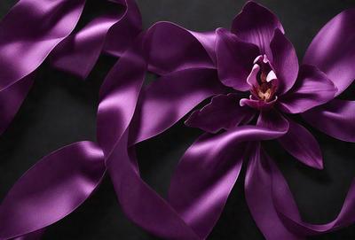 The primary subject of the image is a purple orchid flower. The setting is a dark background, which contrasts with the purple orchid. The visual style is a close-up of the flower, showcasing its details. The colors and mood of the image are predominantly purple, creating a serene and elegant atmosphere.