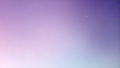 The primary subject of the image is a purple sky with a single bird flying in it. The bird is located towards the top right corner of the sky. The setting is a vast, open space with no visible landmarks or objects. The visual style appears to be a photo, capturing the bird in flight against the purple sky. The colors and mood of the image are predominantly purple, creating a serene and peaceful atmosphere.