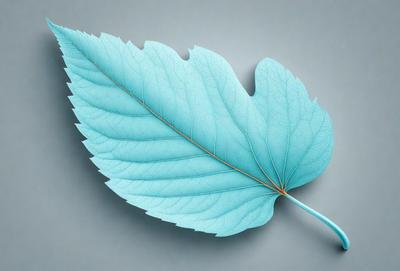 The primary subject of the image is a large, blue leaf. The leaf is prominently displayed on a gray surface, which serves as the background. The visual style of the image is a combination of photo and digital art, creating a realistic yet artistic representation of the leaf. The dominant colors in the image are blue and gray, giving the scene a calm and serene atmosphere.