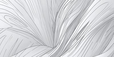 The primary subject of the image is a white, curved, and flowing object, which appears to be a drawing or an illustration. The setting is a white background, which provides a clean and minimalist appearance. The visual style is artistic, with the focus on the flowing lines and shapes of the white object. The colors and mood of the image are predominantly white, creating a sense of simplicity and elegance.