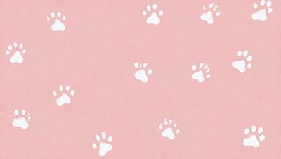 The primary subject of the image is a pattern of white paw prints on a pink background. The setting is a pink surface, which serves as the background for the paw prints. The visual style is a combination of digital art and illustration, as the paw prints are created using a digital medium. The colors and mood of the image are predominantly pink and white, giving it a warm and inviting atmosphere.